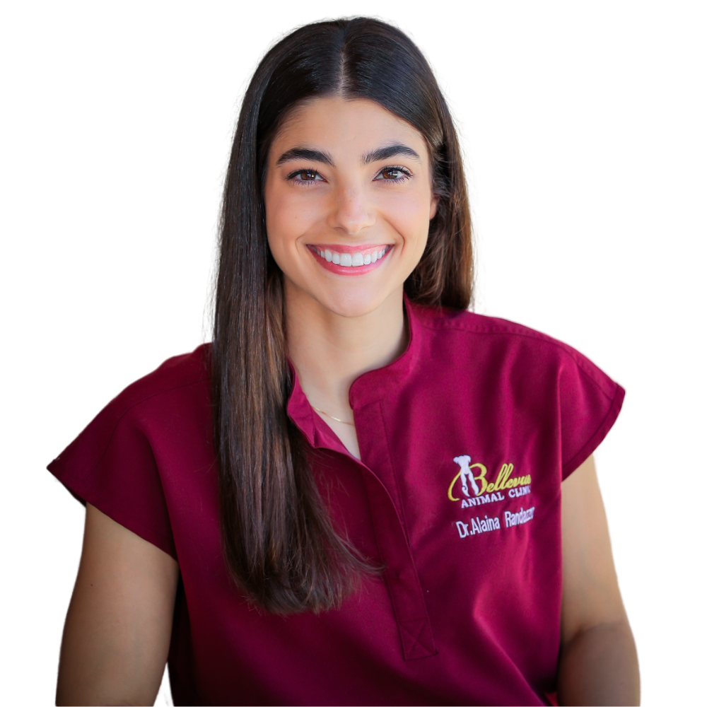 Dr. Alaina Randazzo